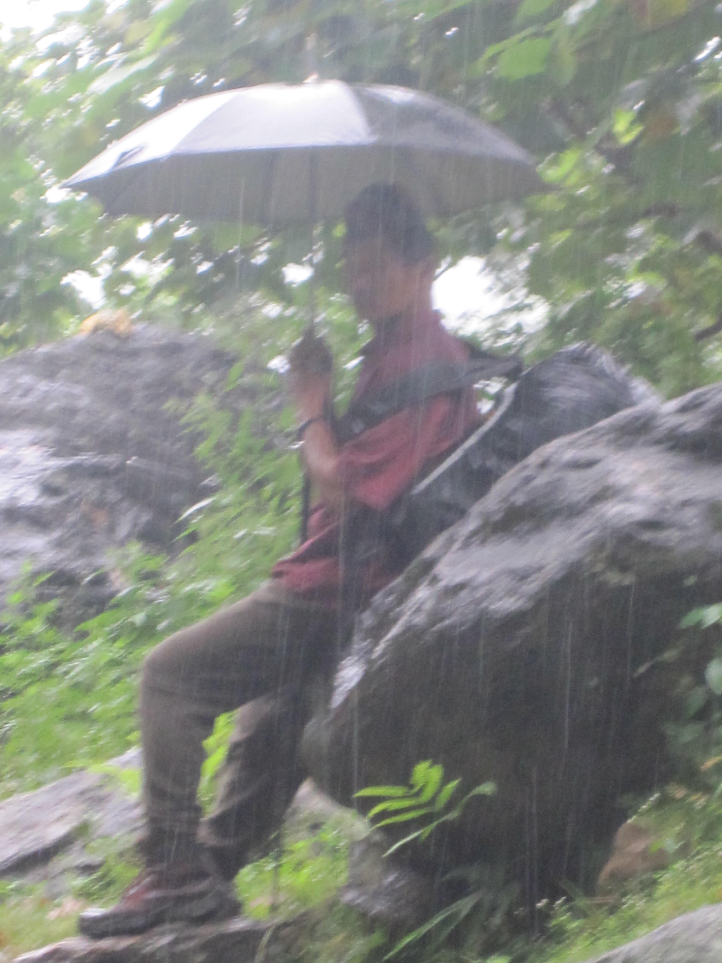 Chewing waiting in the rain