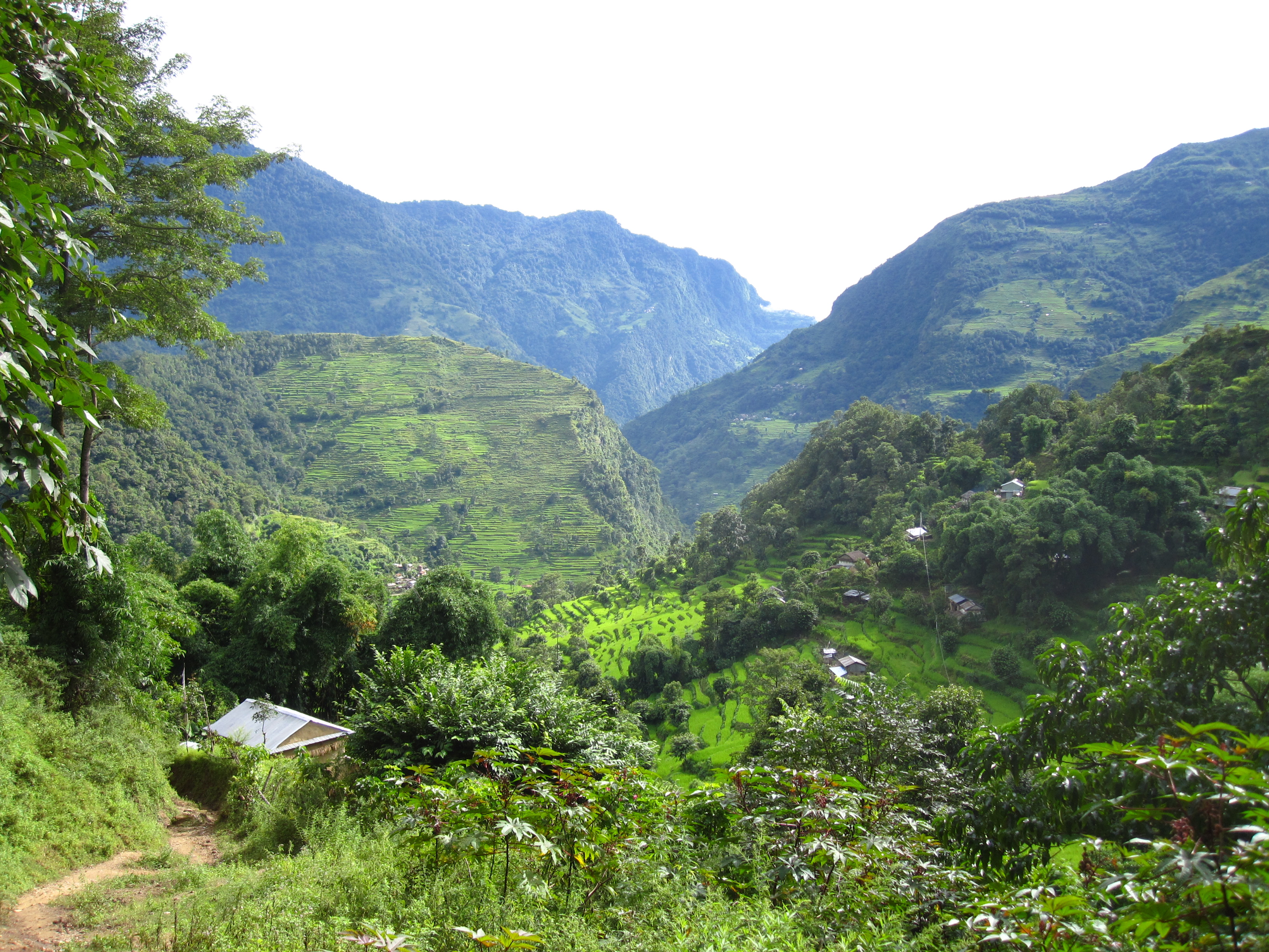 Subtropical environment