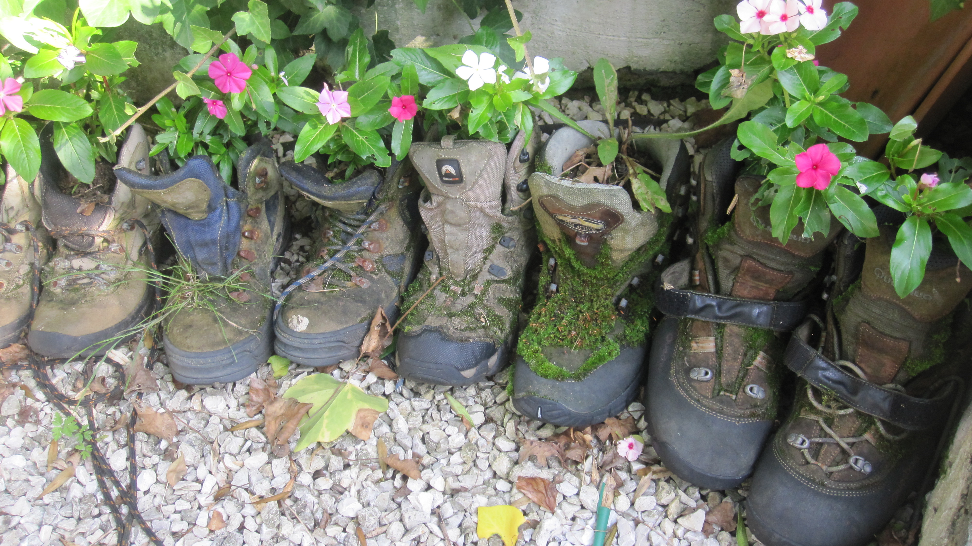 Shoes left in the refuge used as flowerpots